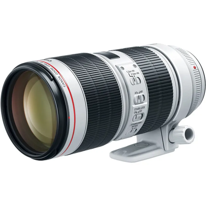 Canon EF 70-200mm f/2.8L IS III USM Telephoto Lens -1