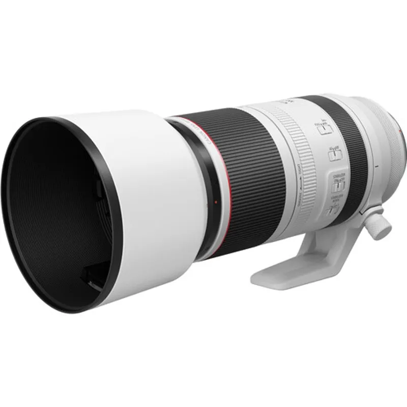 Canon RF 100-500MM F4.5-7.1 L IS STM Lens