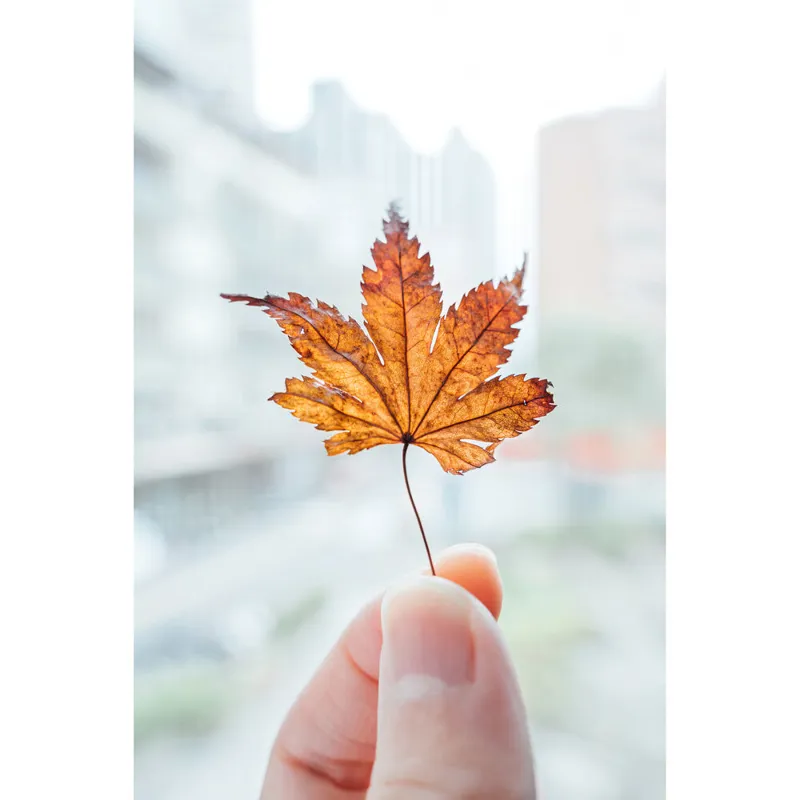 Nikon Nikkor Z 28-75mm f/2.8-7