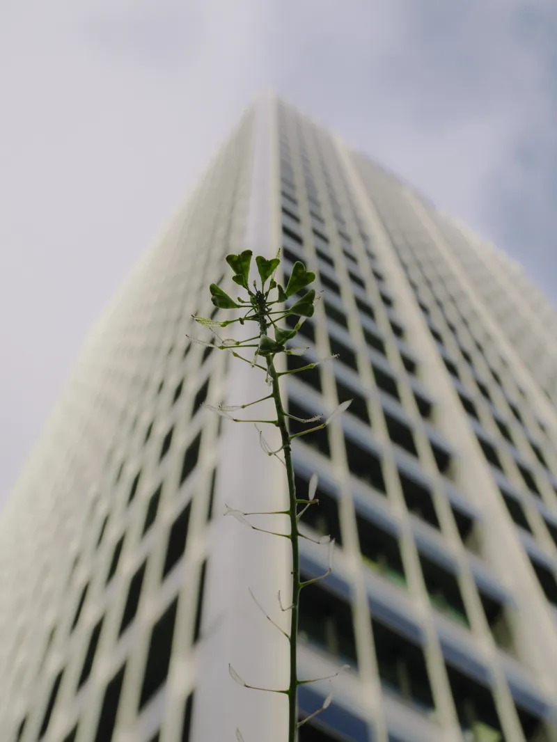 OM System M.Zuiko Digital ED 25mm F1.8 II Lens - CASHBACK!-9