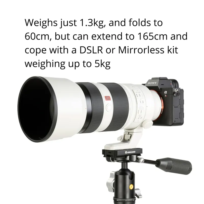 Vanguard VEO 2S AM-234TBP50T Aluminium Monopod with Ball Head-3