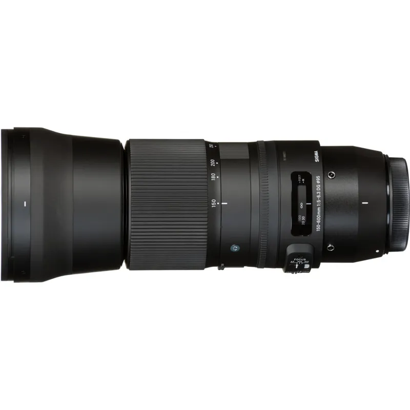 Sigma 150-600mm F5-6.3 DG HSM OS C Lens - Canon EF with EOS R Adapter-2