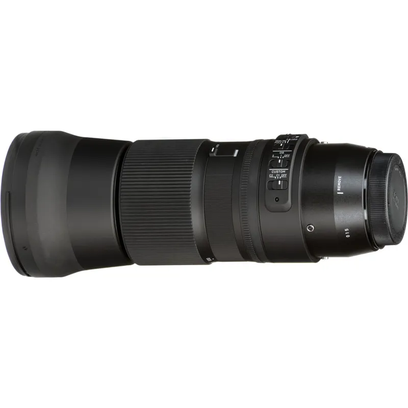 Sigma 150-600mm F5-6.3 DG HSM OS C Lens - Canon EF with EOS R Adapter-3