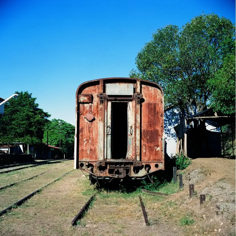 Cinestill Xpro 800T Colour Negative - 120-3