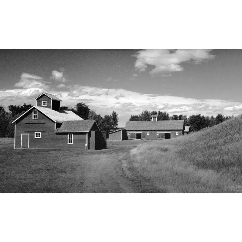 Flic Film Elementary Black and White Developing Kit - 20 Rolls-2