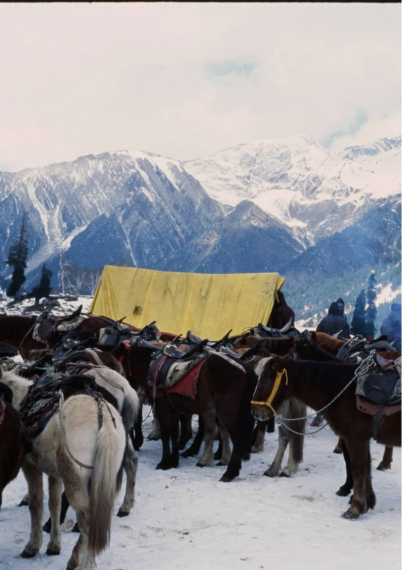 Flic Film Chrome 100 35mm Colour Transparency Film - 36 exp-2