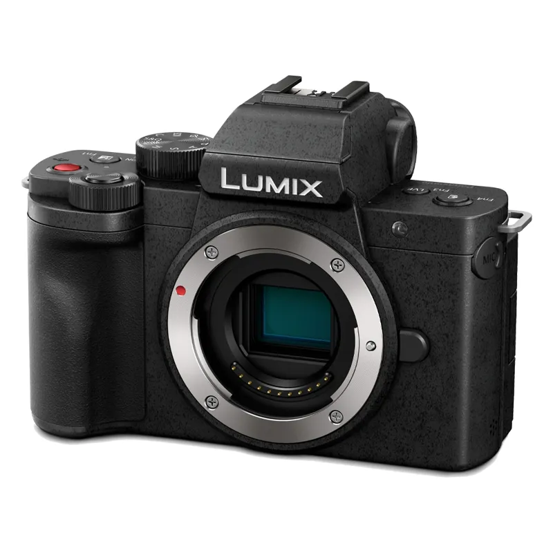 Panasonic Lumix G100 Camera Body