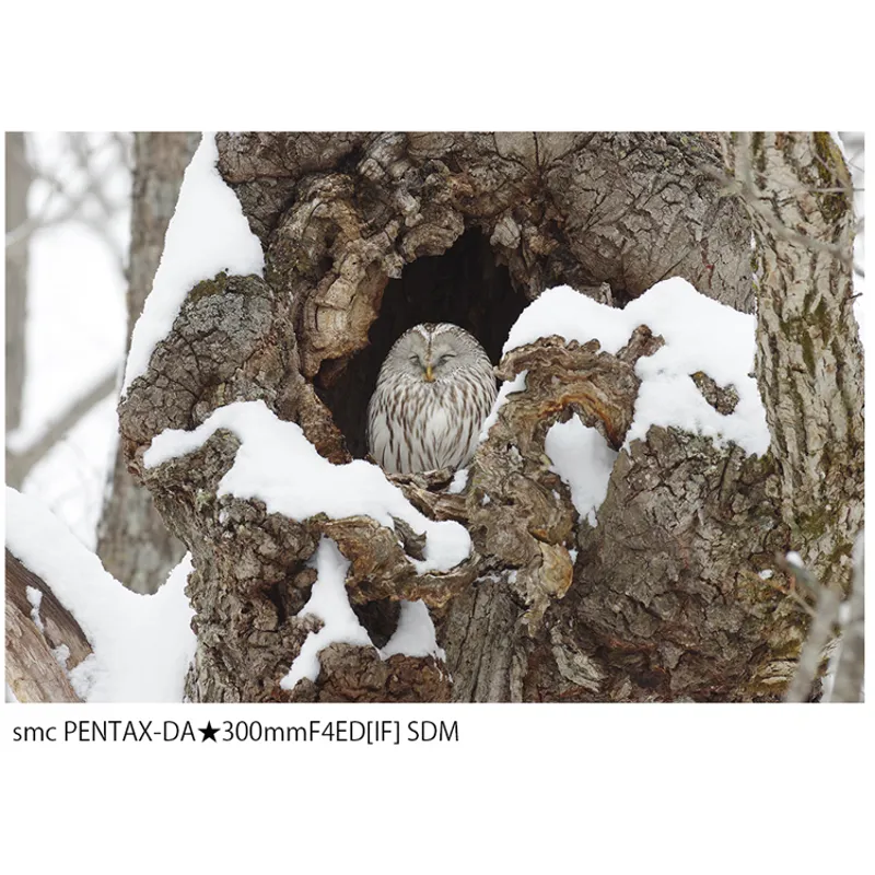 Pentax HD PENTAX-DA AF Rear Converter 1.4X AW-1