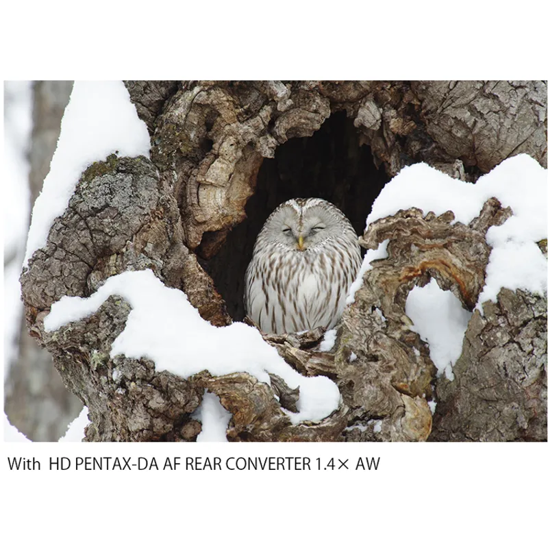 Pentax HD PENTAX-DA AF Rear Converter 1.4X AW-2