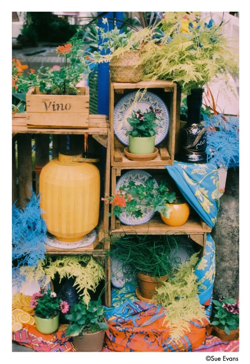 Harman Phoenix II 200 - 36 Exposures 35mm Film-5